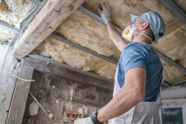 Best Blown-in Insulation  in Hobbs, NM
